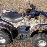 4-Wheeler in Vista _amp_ Carbon Fiber pic 2