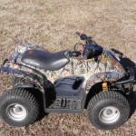 4-Wheeler in Vista _amp_ Carbon Fiber pic1