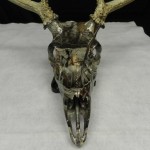 Deer skull in Microprint