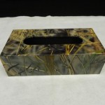 Tissue box in Waterfowler