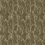 Bottomland_new BTM_small