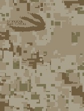 GH-008 Desert Digital