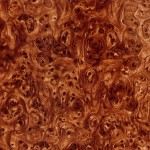 GH-023: Knot Burl