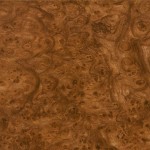 GH-117 Carpathian Elm Burlwood