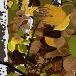 GH-059: Rocky Mtn Autumn Aspen