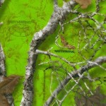 GH-099: Mothwing Gameday Green