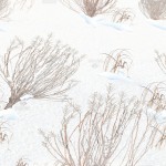 Winter Brush - (WBR)